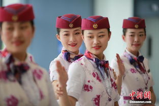 多彩貴州網(wǎng) 重慶 動(dòng)姐 禮儀培訓(xùn)備戰(zhàn)鐵路調(diào)圖